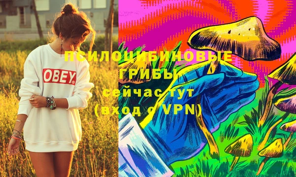 круглые Ладушкин