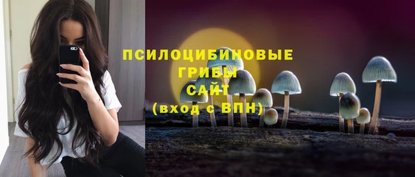 круглые Ладушкин