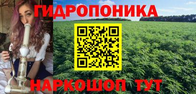 амф Анапа