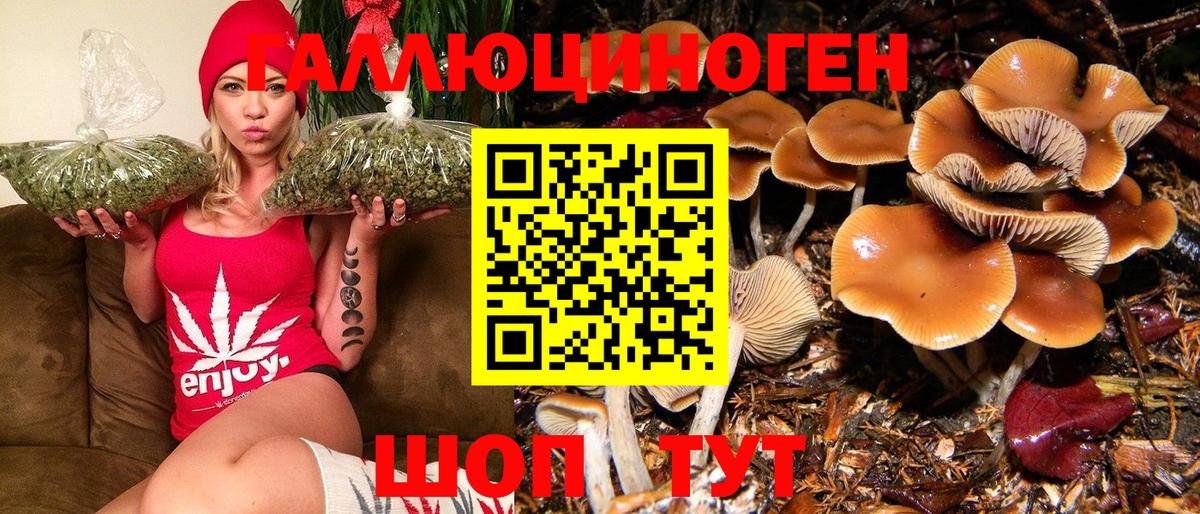 Псилоцибиновые грибы MAGIC MUSHROOMS  Вход с VPN  Нарьян-Мар 