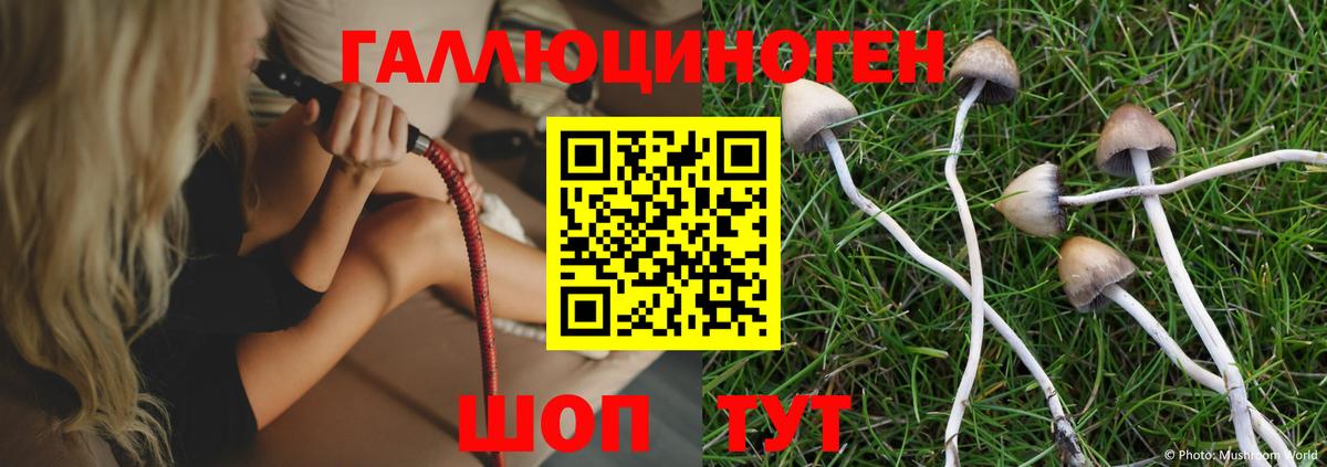 Галлюциногенные грибы GOLDEN TEACHER Нарьян-Мар